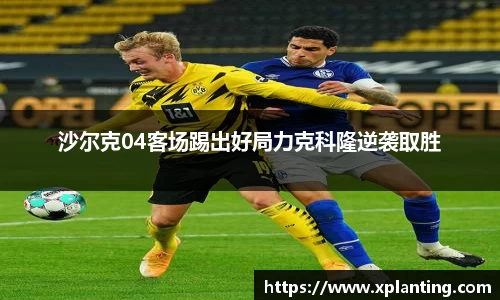 k1体育
