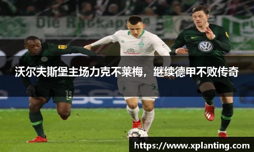 沃尔夫斯堡主场力克不莱梅，继续德甲不败传奇