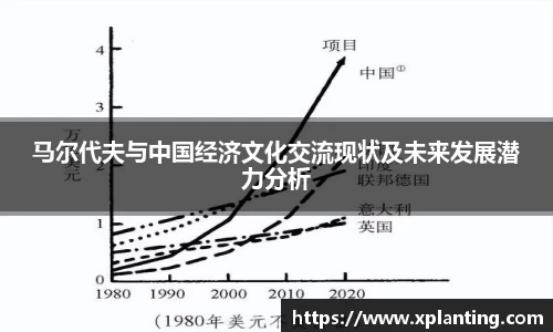 马尔代夫与中国经济文化交流现状及未来发展潜力分析
